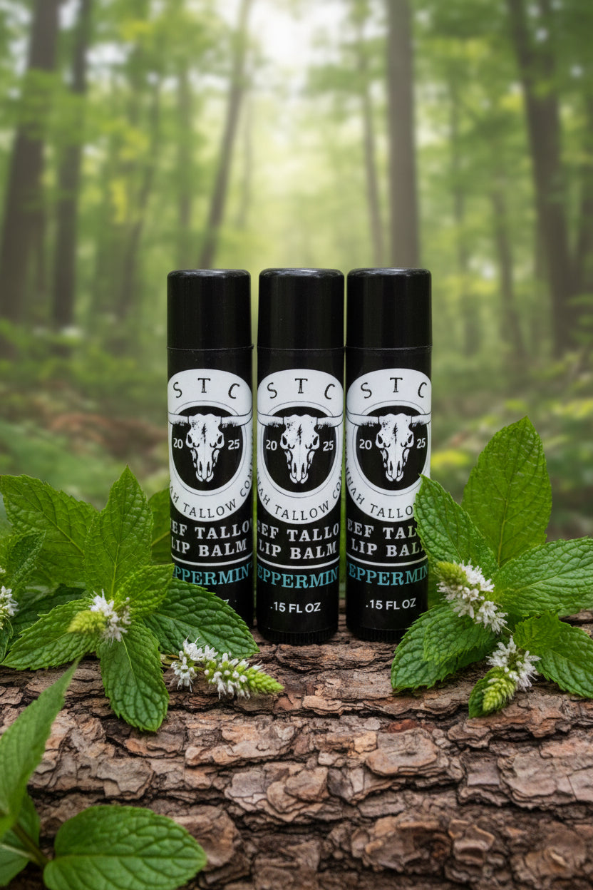 Beef Tallow Moisturizing Lip Balm